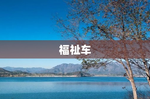 福祉车:让边缘群体更加便捷地出行 福祉车:让边缘群体更加便捷地出行