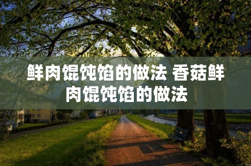 鲜肉馄饨馅的做法 香菇鲜肉馄饨馅的做法