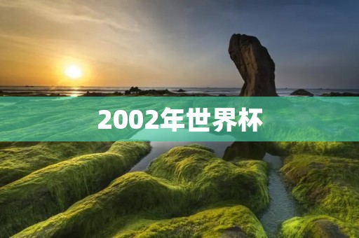 2002年世界杯：韩国和日本的历史性合办