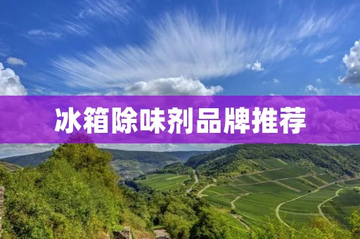 冰箱除味剂品牌推荐:让你的冰箱散发清新芳香