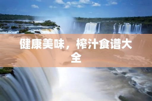 健康美味,榨汁食谱大全 健康美味,榨汁食谱大全
