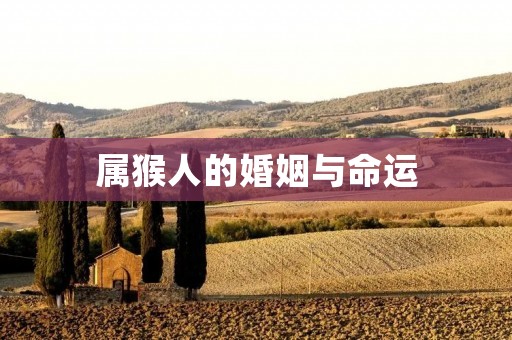 属猴人的婚姻与命运