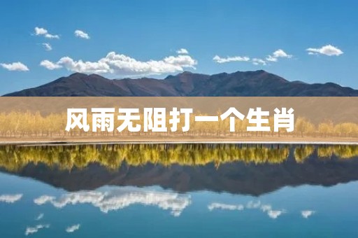 风雨无阻打一个生肖