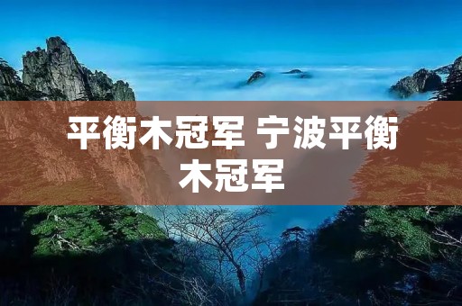 平衡木冠军 宁波平衡木冠军