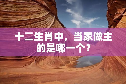 十二生肖中,当家做主的是哪一个?