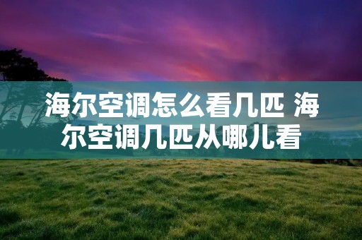 海尔空调怎么看几匹 海尔空调几匹从哪儿看 海尔空调怎么看几匹 海尔空调几匹从哪儿看