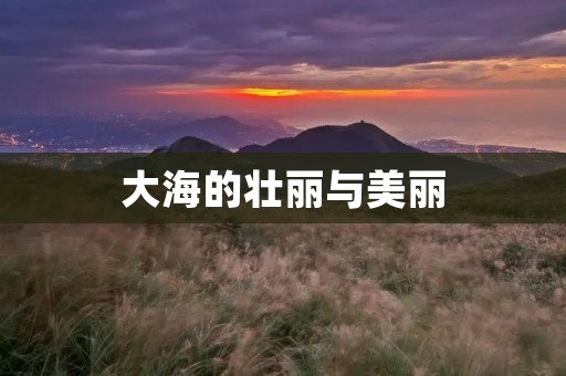 大海的壮丽与美丽