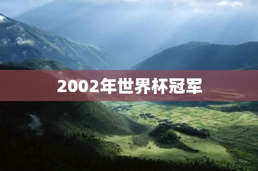 2002年世界杯冠军:巴西力克德国封王 2002年世界杯冠军:巴西力克德国封王