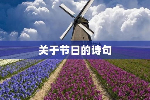 关于节日的诗句