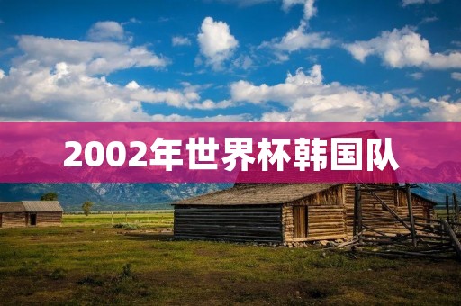 2002年世界杯韩国队：亚洲足球的巅峰时刻