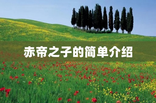 赤帝之子的简单介绍 赤帝之子的简单介绍