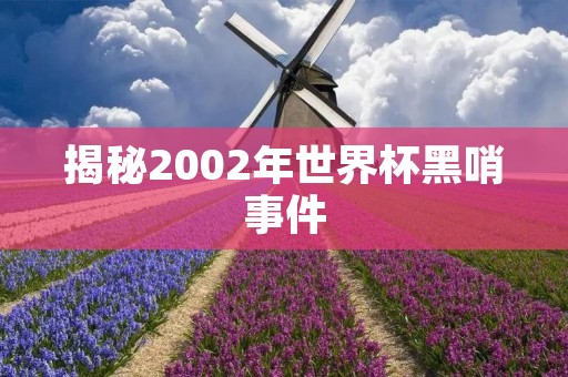 揭秘2002年世界杯黑哨事件 揭秘2002年世界杯黑哨事件