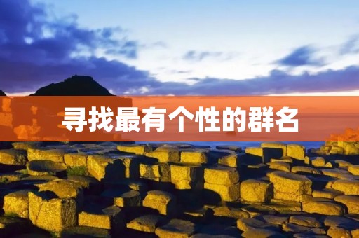 寻找最有个性的群名