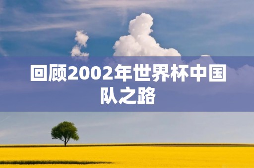 回顾2002年世界杯中国队之路 回顾2002年世界杯中国队之路