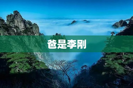 爸是李刚:一个普通人的不平凡人生 爸是李刚:一个普通人的不平凡人生