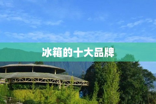 冰箱的十大品牌：品质与实用并重的选择