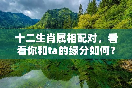 十二生肖属相配对,看看你和ta的缘分如何?