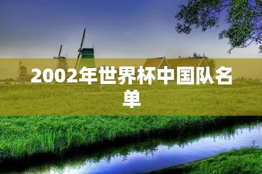 2002年世界杯中国队名单