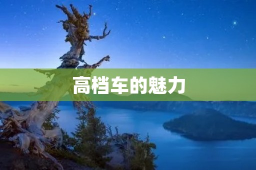高档车的魅力:奢华与性能的完美结合 高档车的魅力:奢华与性能的完美结合