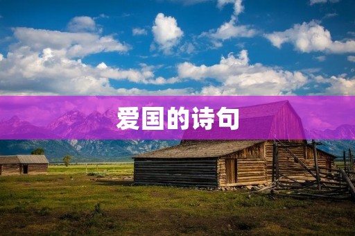 爱国的诗句