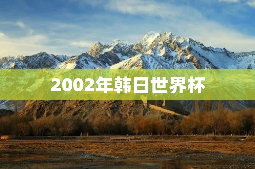 2002年韩日世界杯：历史性时刻的见证