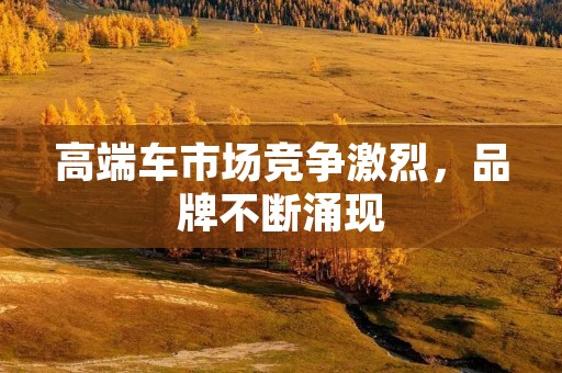 高端车市场竞争激烈,品牌不断涌现 高端车市场竞争激烈,品牌不断涌现
