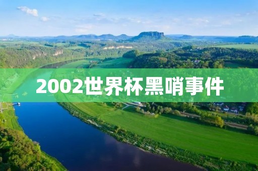2002世界杯黑哨事件：一场足球比赛的争议与反思
