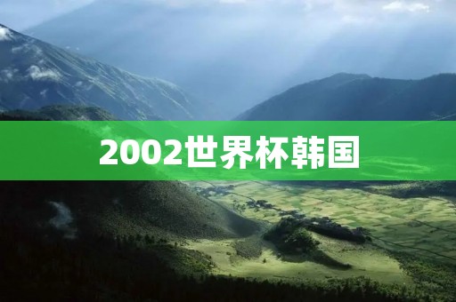 2002世界杯韩国：亚洲足球的巅峰时刻