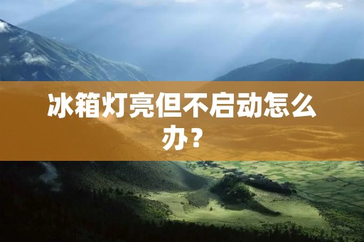 冰箱灯亮但不启动怎么办？