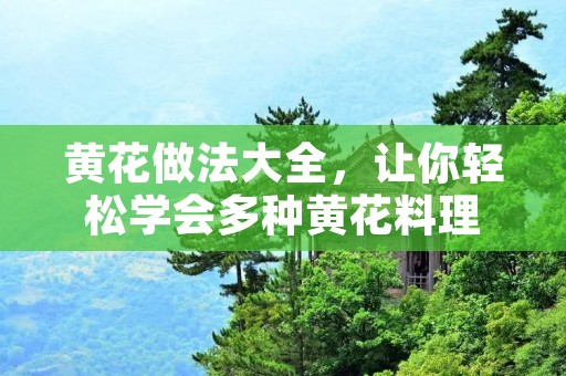黄花做法大全,让你轻松学会多种黄花料理 黄花做法大全,让你轻松学会多种黄花料理
