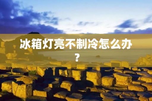 冰箱灯亮不制冷怎么办？