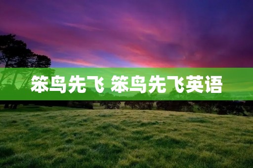 笨鸟先飞 笨鸟先飞英语