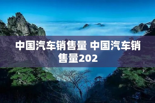 中国汽车销售量 中国汽车销售量202