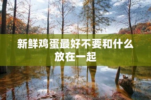 新鲜鸡蛋最好不要和什么放在一起