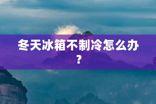 冬天冰箱不制冷怎么办？