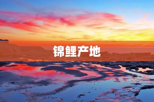 锦鲤产地:了解世界各地的锦鲤产地