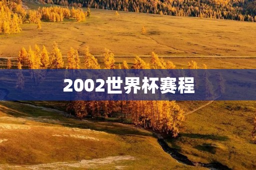 2002世界杯赛程