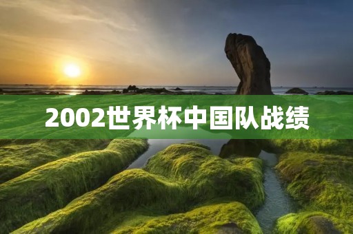 2002世界杯中国队战绩