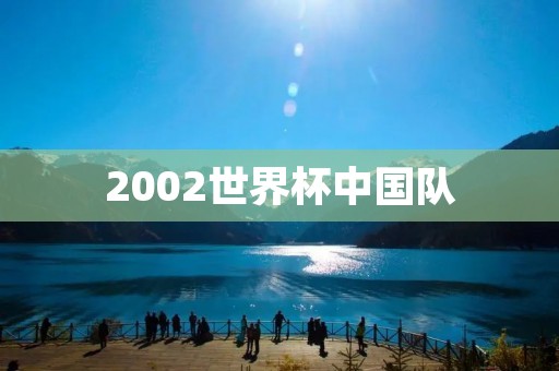 2002世界杯中国队：历史性的出线之路