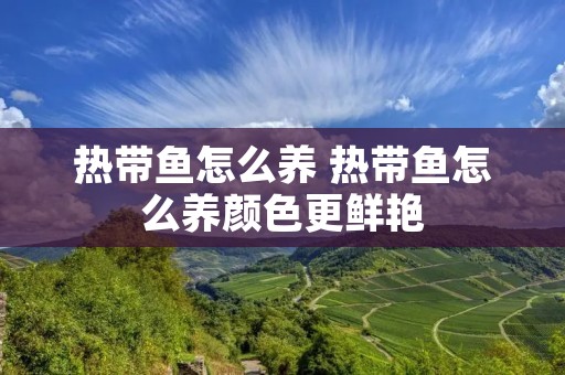 热带鱼怎么养 热带鱼怎么养颜色更鲜艳 热带鱼怎么养 热带鱼怎么养颜色更鲜艳