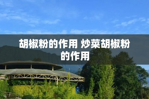 胡椒粉的作用 炒菜胡椒粉的作用