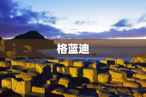 格蓝迪:科技创新引领未来 格蓝迪:科技创新引领未来