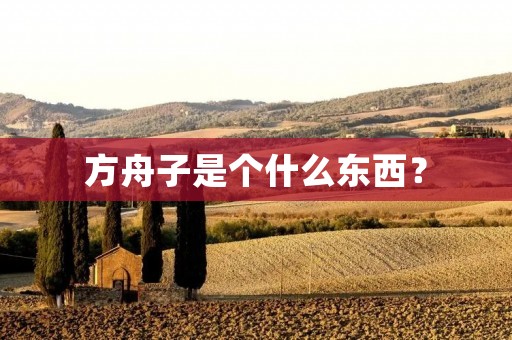 方舟子是个什么东西？
