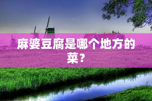 麻婆豆腐是哪个地方的菜？