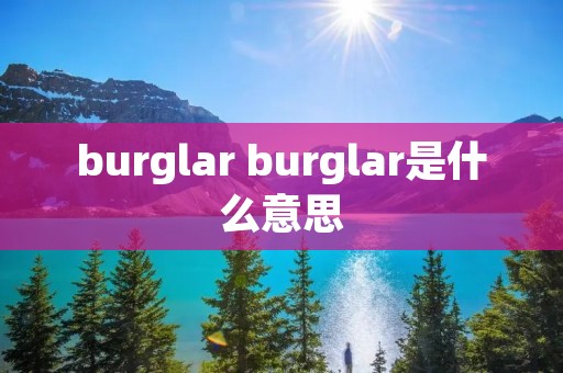 burglar burglar是什么意思