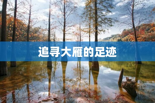 追寻大雁的足迹