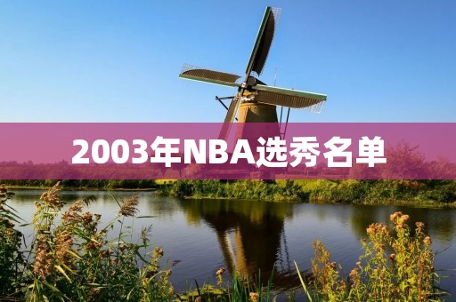 2003年NBA选秀名单：詹姆斯领衔历史最佳选秀年份