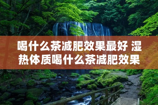 喝什么茶减肥效果最好 湿热体质喝什么茶减肥效果最好 喝什么茶减肥效果最好 湿热体质喝什么茶减肥效果最好