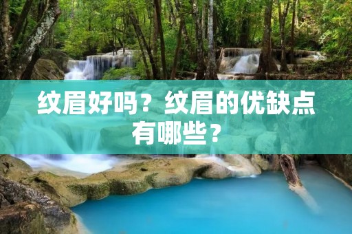 纹眉好吗?纹眉的优缺点有哪些? 纹眉好吗?纹眉的优缺点有哪些?