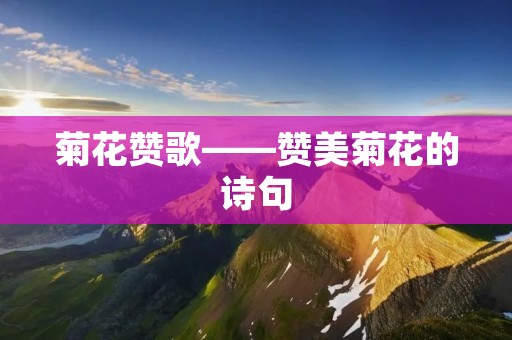 菊花赞歌——赞美菊花的诗句